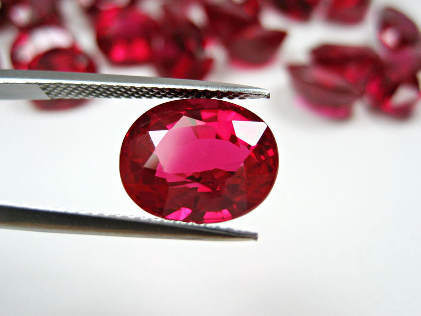 photo33mm/shutterstock.com